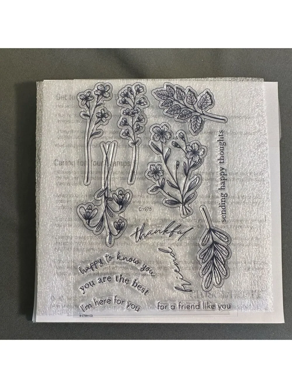 Close To My Heart Z4700 Cosette Acrylic Stamp and Thin Cut Set